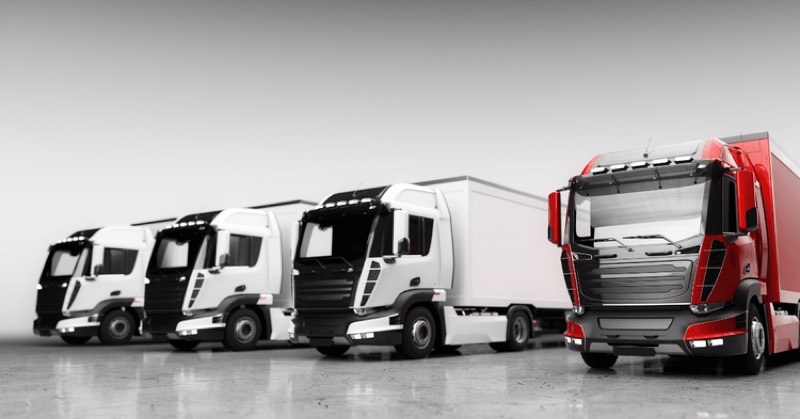 A Guide to Safe and Reliable Transport with Safeeds Transport