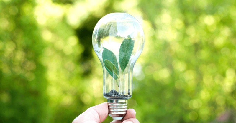 How Auto Transport Companies Are Going Green